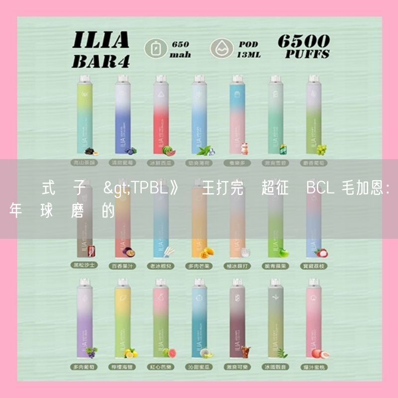 拋棄式電子煙>TPBL》國王打完東超征戰BCL 毛加恩：年輕球員磨練的機會